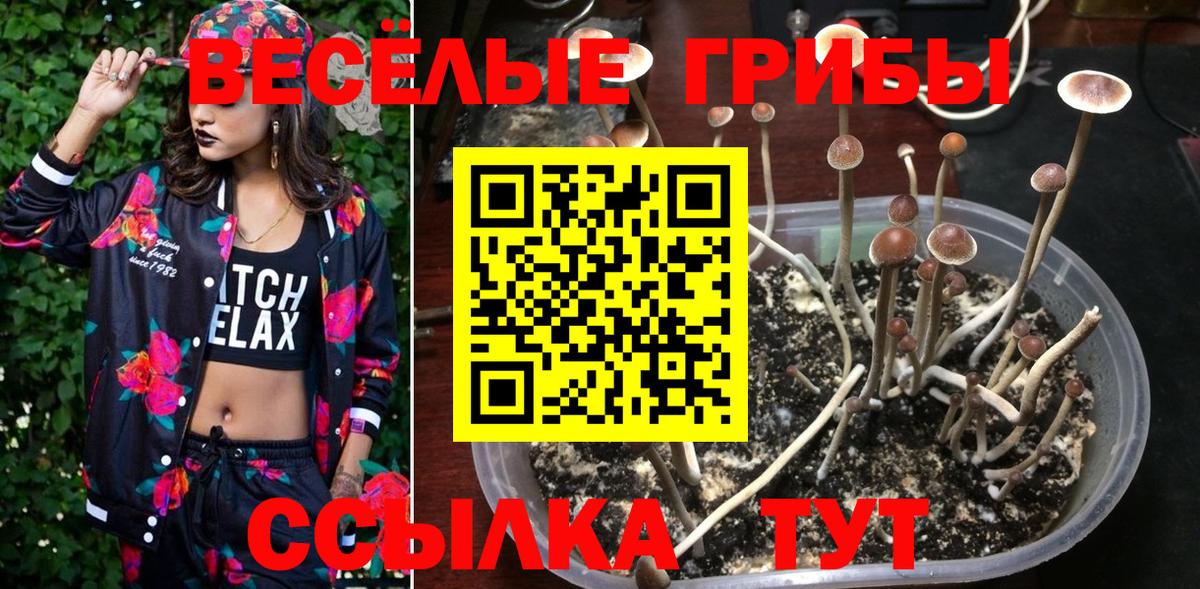 Галлюциногенные грибы ЛСД Туапсе