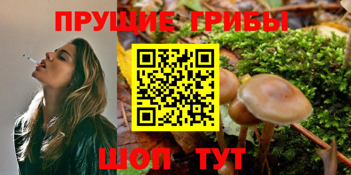 Псилоцибиновые грибы Psilocybe  Галлюциногенные грибы мицелий  купить наркотик  Туапсе  Вход с VPN 